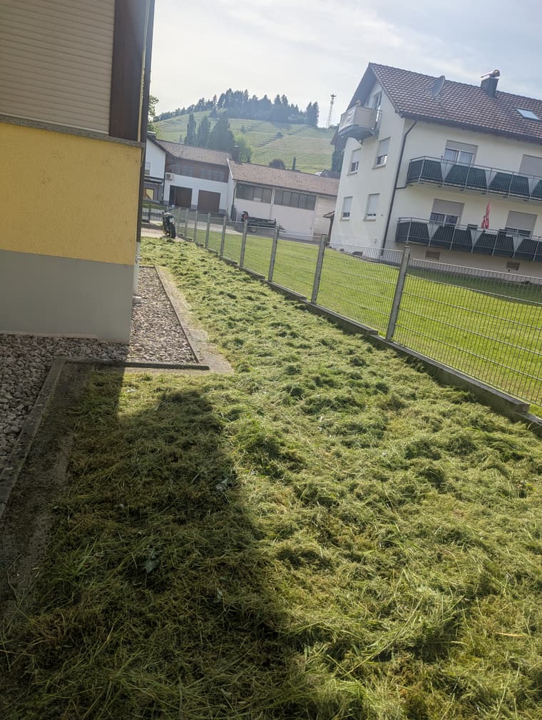 Rasenmähen