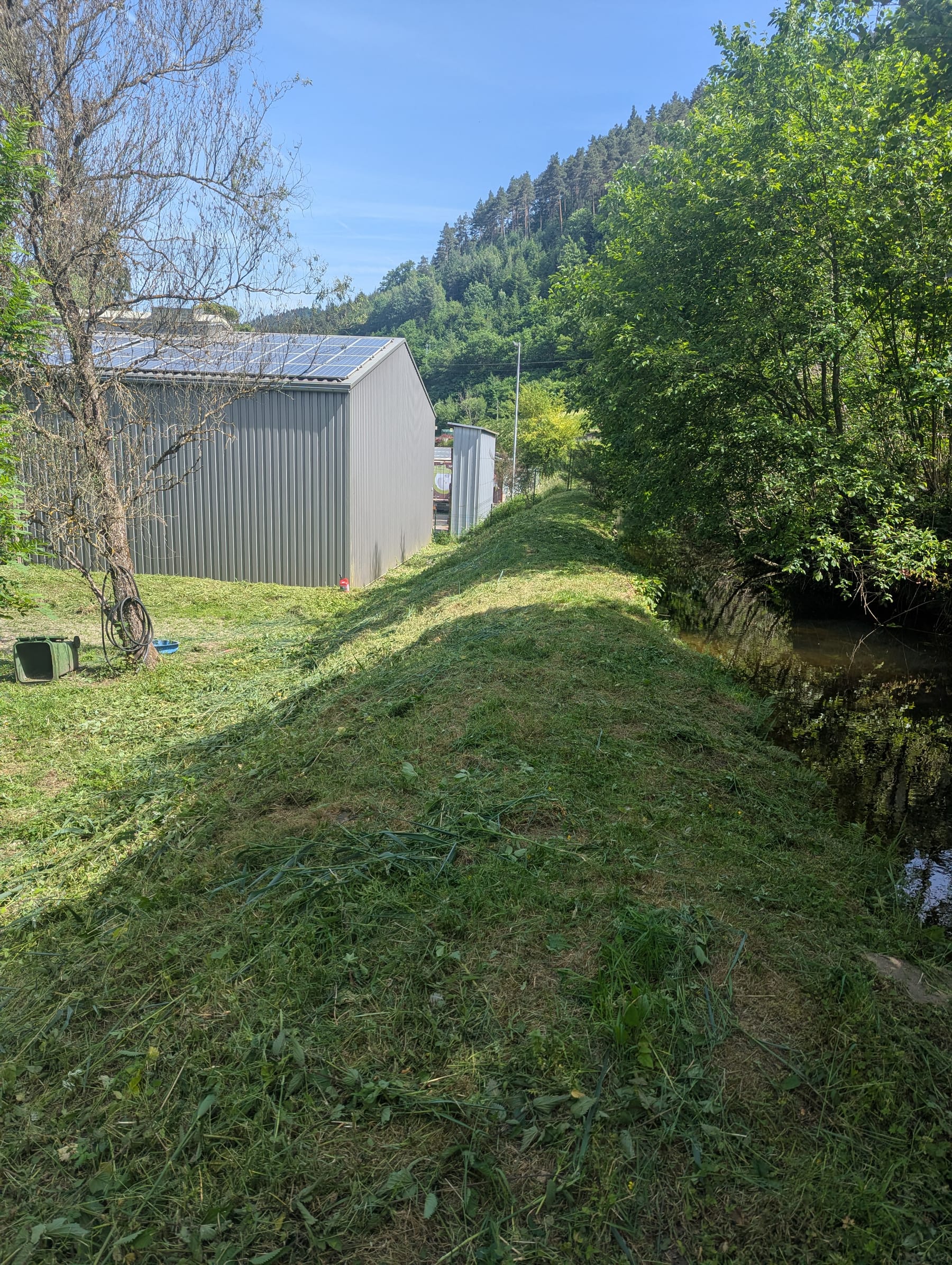 Dieselbe Bachböschung frisch gemäht