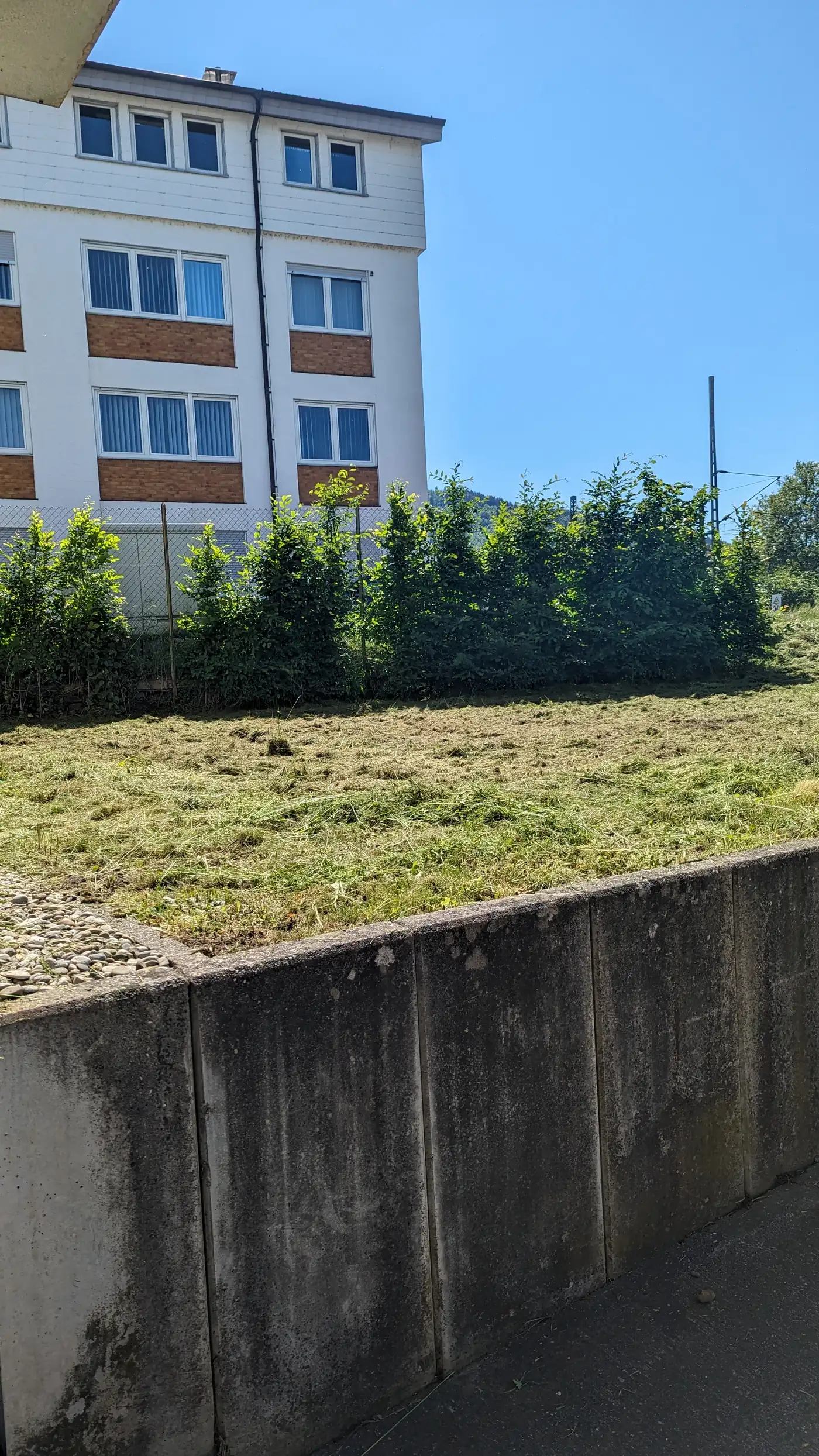 Dasselbe Grundstück nach dem Mähen